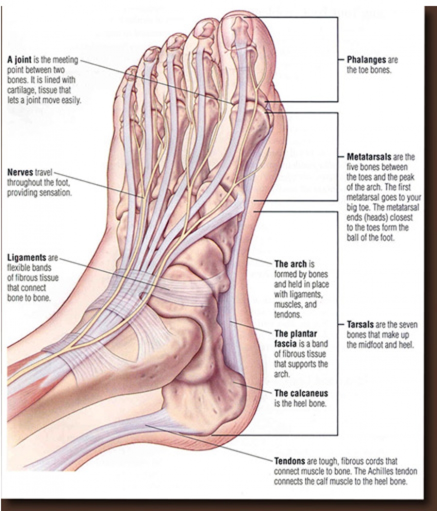 Chronic Achilles Tendinitis May Lead to Heel Spurs - Vejthani Hospital |  JCI Accredited International Hospital in Bangkok, Thailand.